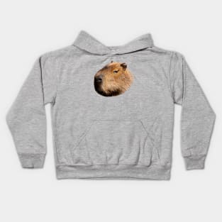 Capybara Profile Kids Hoodie